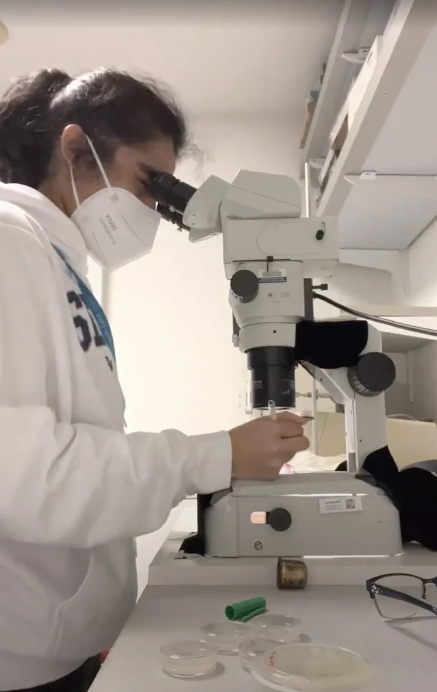 Ria Bahadur working at a laboratory microscope